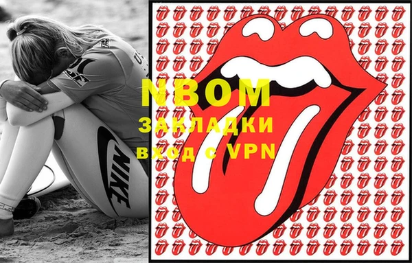 трава Белокуриха