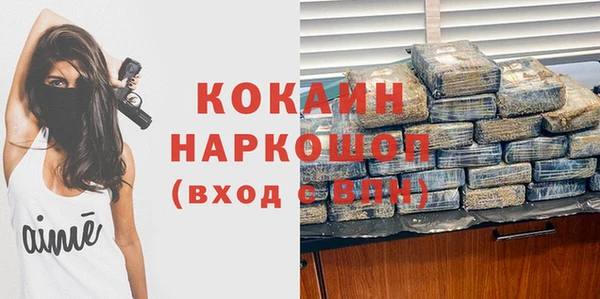 молекула духа Краснослободск