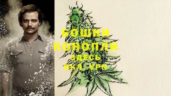 трава Белокуриха