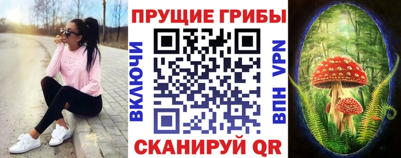 ссылка на мегу ссылка  купить наркотик  Салаир  Псилоцибиновые грибы GOLDEN TEACHER 